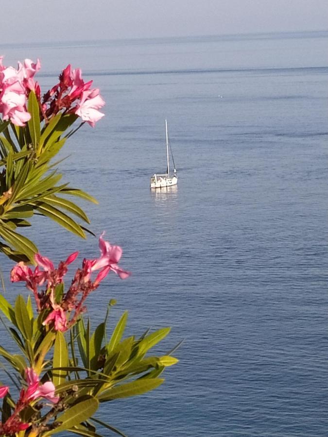 Las Palmeras Almuñécar Exteriör bild